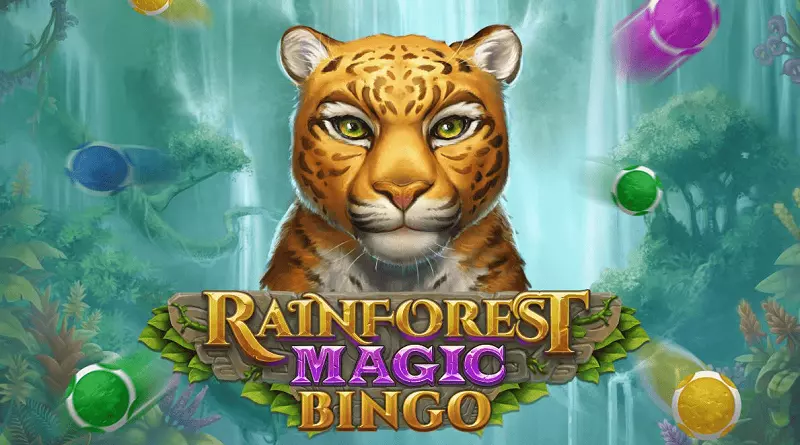 Giải mã ma thuật cùng Rainforest Magic Fun88
